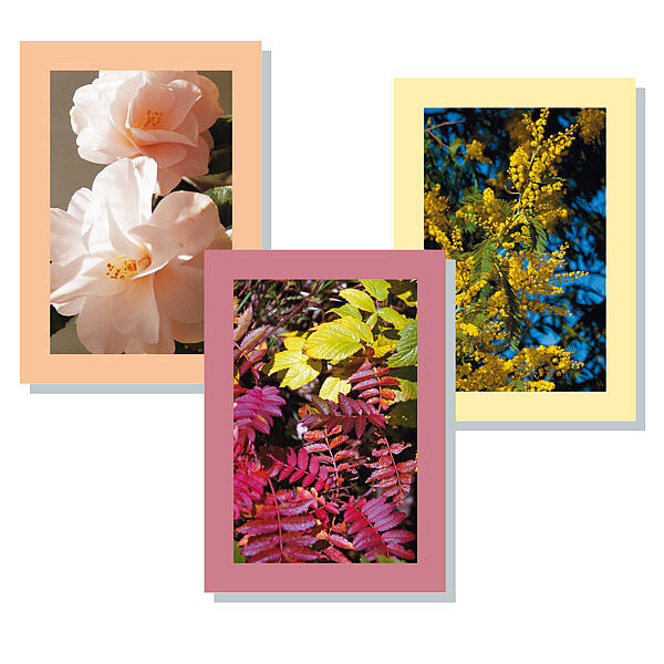 Set cartoline di auguri fiori