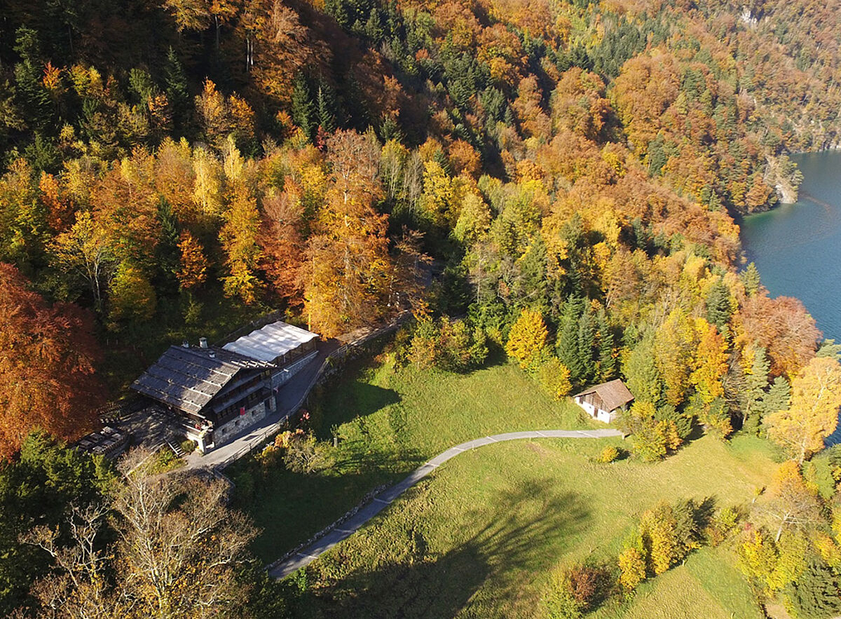 Das Rütli