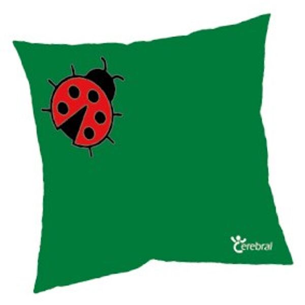 Coussin de noyaux de cerises