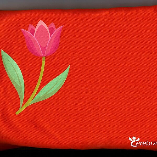 Cuscino di noccioli di ciliegia