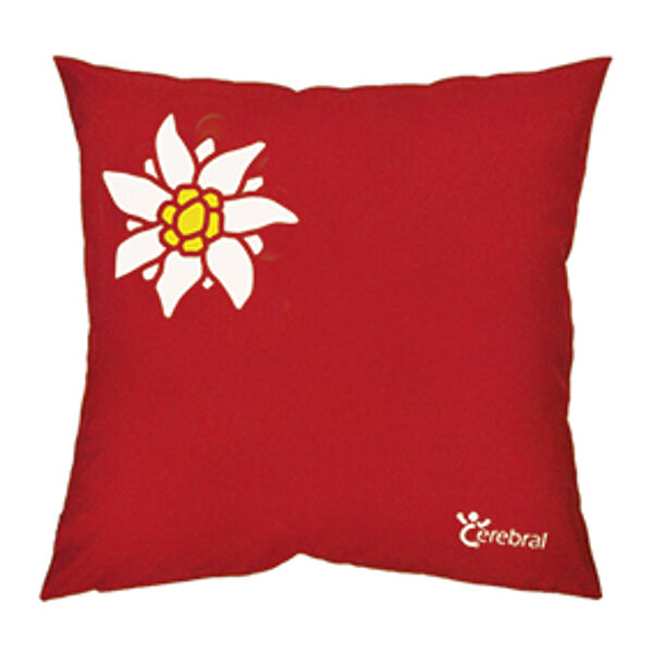 600x600_6603 Coussin de noyaux de cerises